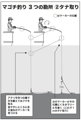 タナ取りの図