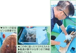 神経絞めの写真