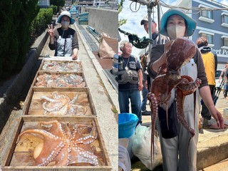 【釣果速報】兵庫県釣り船 名田屋で最大2.10kgのマダコキャッチ！船釣りデビューするならココに決まり！