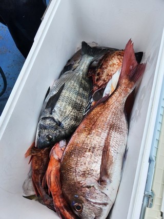 釣果