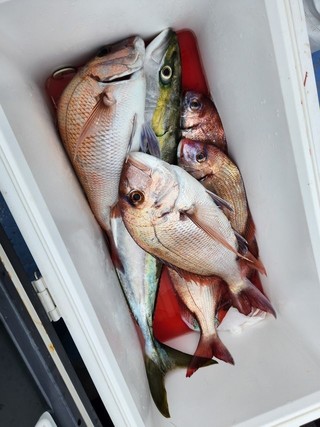 釣果