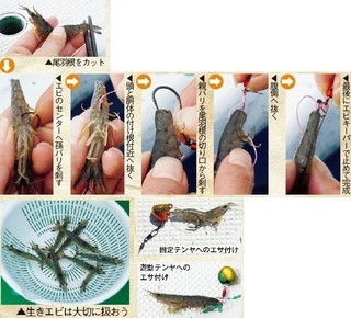 エサの写真