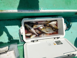 釣果