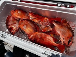 釣果