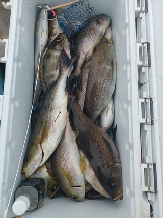釣果