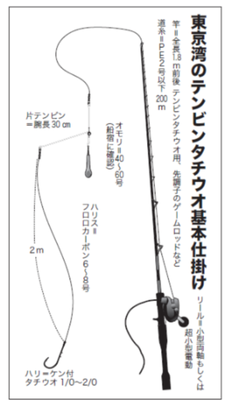 東京湾のテンビンタチウオ基本仕掛け
