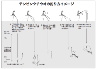 テンビンタチウオの釣り方イメージ