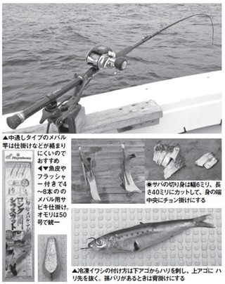 仕掛けの写真