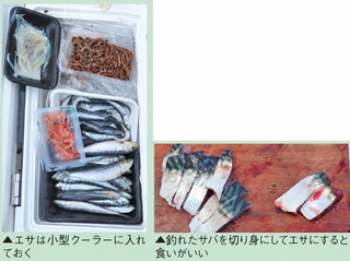 エサの写真