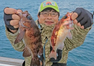良型メバルの魚影抜群　魚種多彩で一挙両得も