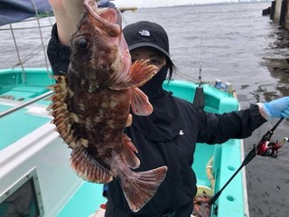 【釣果速報】千葉県守山丸で高級魚カサゴが順調に上がる！今すぐ乗船してワンランク上の釣果を目指せ！      
