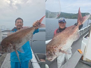 【釣果速報】でか～～～～い！静岡県魚磯丸で7.90kgのマダイキャッチ！現在、中～大鯛メインにコンスタントに釣れてる模様です！