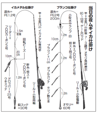 当日の夜ムギイカ仕掛け