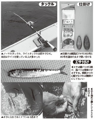 仕掛けの写真