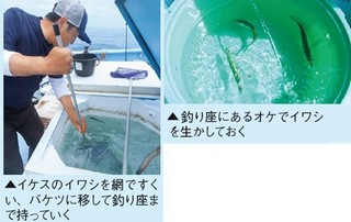 エサの写真