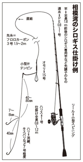 仕掛けの図