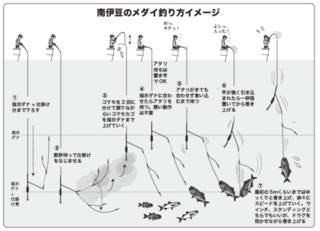 南伊豆のメダイ釣り方イメージ