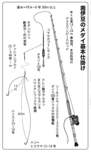 釣行の写真