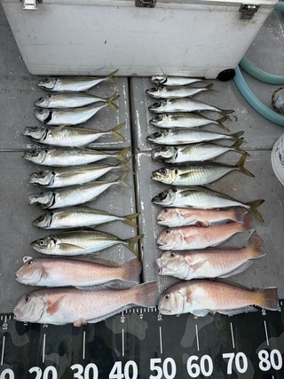 釣果
