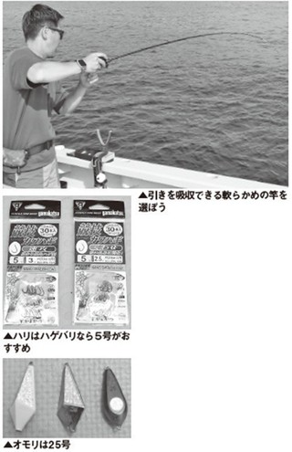 仕掛けの写真