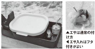 エサの写真