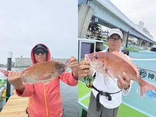 【釣果速報】神奈川県野毛屋釣船店でマダイGET！タチウオ・ヒラメ・ホウボウなどゲストも超豊富に！