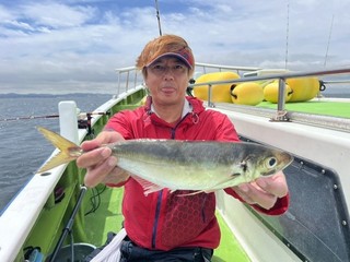 【釣果速報】神奈川県政信丸で良型アジ絶好調！最大40cm！狙うなら今すぐ乗船予約をしよう！