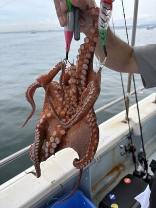 釣果