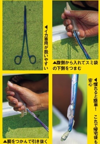 スミ抜きの写真