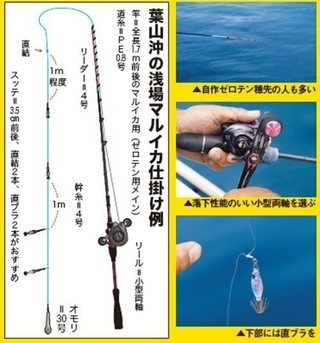 仕掛けの写真と図