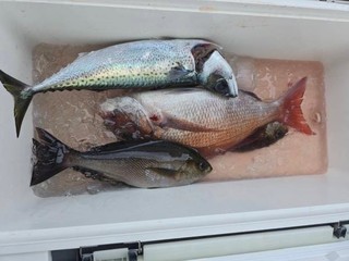 釣果