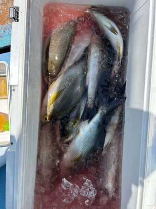釣果