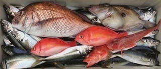 釣果