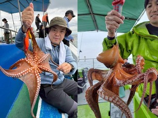 【釣果速報】兵庫県海連丸でタコ好調！美味しい2kgサイズで思わずにんまり！今後も爆釣の予感！