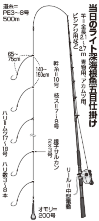 当日のライト深海根魚五目仕掛け