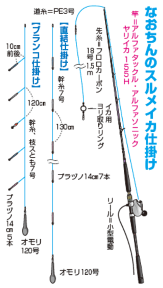 なおちんのスルメイカ仕掛け