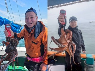 【釣果速報】今年一番釣れた！兵庫県海蓮丸でマダコGET！最大100cm！大人も子供も…