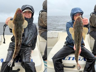 【釣果速報】千葉県林遊船で61cmの巨大マゴチ釣れる！まるまる太ったクロダイもキャッチ！順調にサイズアップしている人気魚をキャッチしに行こう！