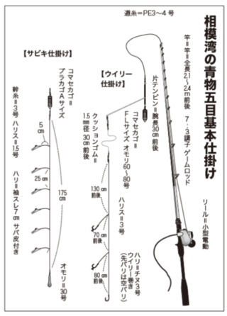 相模湾の青物五目基本仕掛け