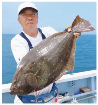 釣行の写真