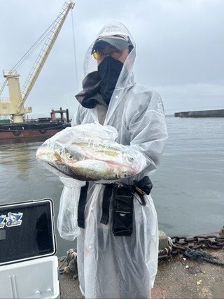 釣果