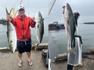 【釣果速報】メジロ・アジと人気魚種が船内を彩る！兵庫県魚英でお土産たくさんゲットしよう！