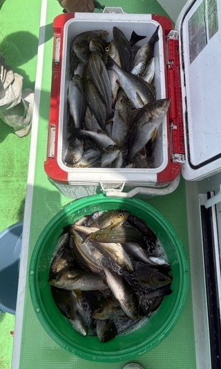 釣果