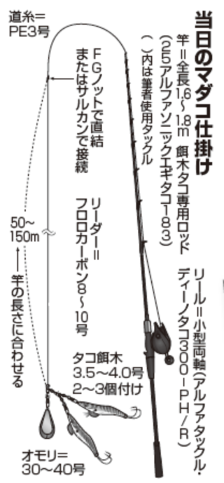 当日のマダコ仕掛け