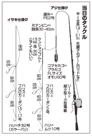 当日のタックル