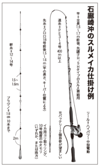 石廊崎沖のスルメイカ仕掛け例