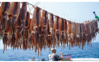 釣行の写真