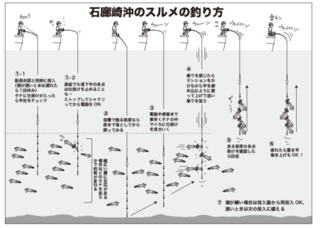 石廊崎のスルメの釣り方