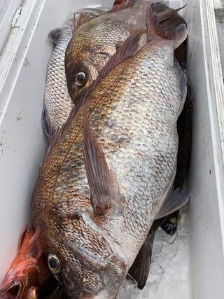 釣果