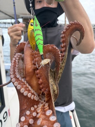 釣果